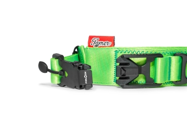 Preview: Halsband Fidlock®-Magnetverschluss mit Griff - grün